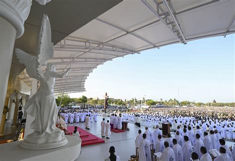 what is vatican city's national animal|Pope Francis’ visit to East Timor brings new attention to church .